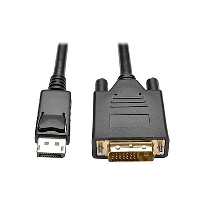 Tripp Lite 6ft Displayport Dvi-d Active Adapter M/m (P581006V2)