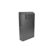 Tripp Lite 4u Wallmount Rack Vertical 36in Deep (SRWF4U36)