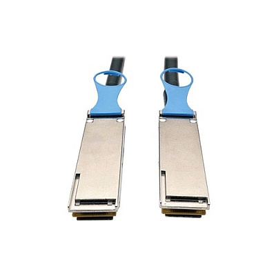 Tripp Lite 1m Dac Cable 100gbe Qsfp28 To Qsfp28 3ft (N28201M28BK)
