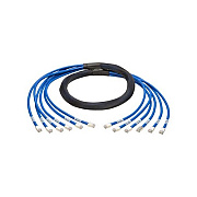 Tripp Lite 6ft Aug Cat6a Pre-term Trunk Bundle 6xmm (N2610066MMBL)