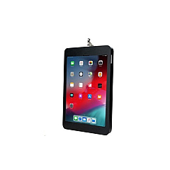 CTA Digital Security Wall Enclosure For 12.9-inch Ip (PADSWEP13)
