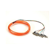 Black Box Om1 62.5um Fo Mm Pigt 12str Pvc St Or 3m (FOPT50M1ST12OR3)