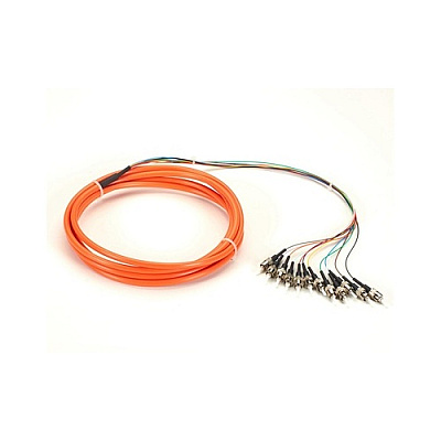 Black Box Om1 62.5um Fo Mm Pigt 12str Pvc St Or 3m (FOPT50M1ST12OR3)