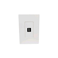 Tripp Lite 1-port Single-gang Keystone Wallplate (N080101)