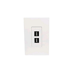 Tripp Lite 2-port Single-gang Keystone Wallplate (N080102)