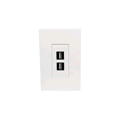 Tripp Lite 2-port Single-gang Keystone Wallplate (N080102)