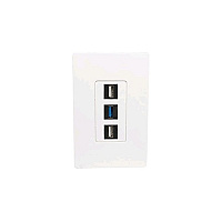 Tripp Lite 3-port Single-gang Keystone Wallplate (N080103)