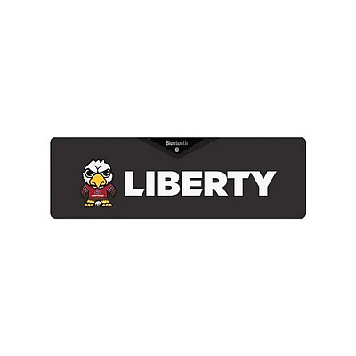 Centon Electronics Liberty (t) Sound Box (OCTLUHK00A)