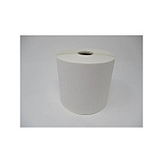 Brother 4 X 2 Top Coated Tt Paper Label, 1,250 (BCS1A051102)