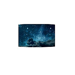LG 55 In Oled Large Format Monitor (55EF5FL)