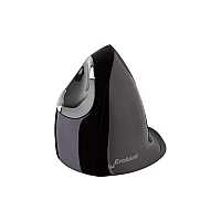 Evoluent Vertical Mouse D, Right Medium (VMDM)