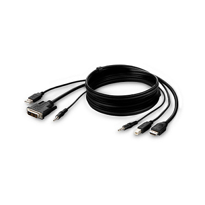 Belkin Taa Dvi To Hdmi/usb/aud Cbl, Vid Mm; Usb (F1DN1CCBLDH10T)