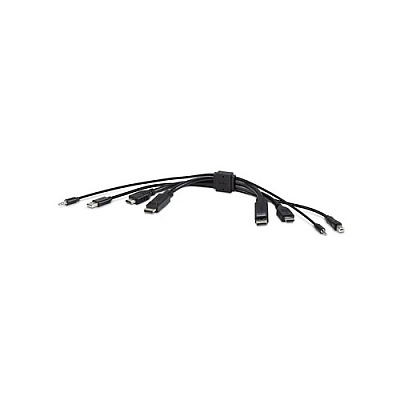 Belkin Taa Dual (1) Hdmi-hdmi (1) Dp-dp/usb/au (F1DN2CCHHPP10T)