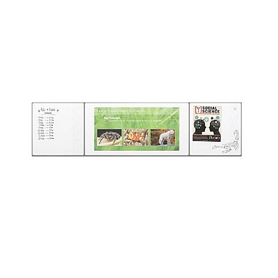 MooreCo Interactive Projector Whiteboard System (76447)