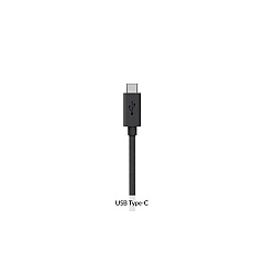 ChargeTech Replacement Type-c Cable For Wm9/s9 (CT110091)
