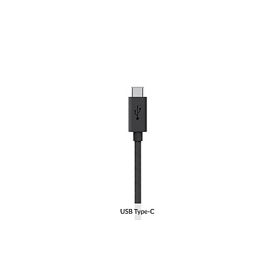 ChargeTech Replacement Type-c Cable For Wm9/s9 (CT110091)