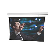 DA-Lite Screen Wrlne Adv Tnsd 159d Prlx Str 1.0 Fgls (29868G)