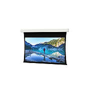 DA-Lite Screen Advantage Tnsd 110d Hdc1.1 (94234LSI)