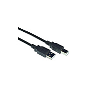 Weltron 6ft Usb-a Male To Usb-b Male (90USBAB06)