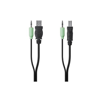 Belkin Taa Usb/aud Skvm Cbl, 10 Ft (F1D9022B10T)