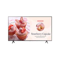 Samsung 55inch/3840x2160/250nit/8ms (BE55T-H)