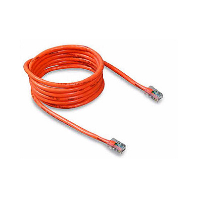 Belkin Cat5e Patch Cable (A3L79150ORG)