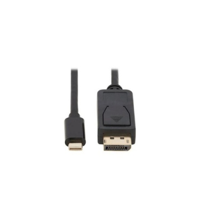 Tripp Lite Usb C To Displayport Adapter Cable 6ft (U444006DPBD