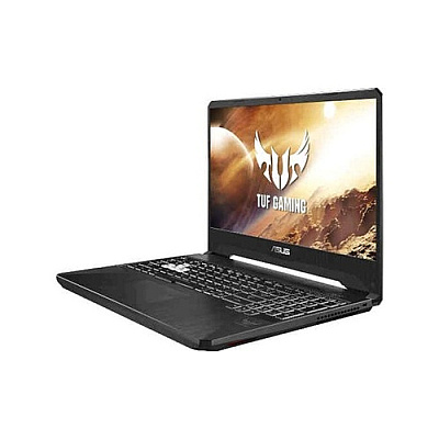 ASUS 1yr International (FX505DVXS74)