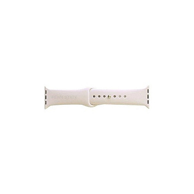Centon Electronics Apple Watch Wrist Band (OCPENNABAG00A)