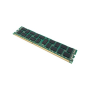 Total Micro Technologies 8gb 1600mhz Memory Module (8GRD316ECC2R4TM)
