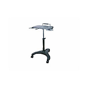 Ergoguys Aidata Sit/stand Laptop Workstation (LPD008P)