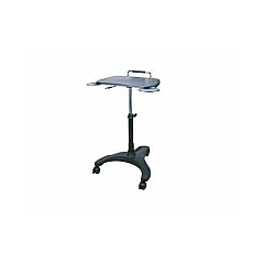 Ergoguys Aidata Sit/stand Laptop Workstation (LPD008P)