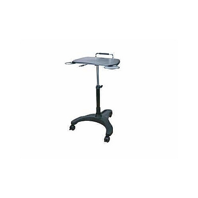Ergoguys Aidata Sit/stand Laptop Workstation (LPD008P)