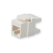 Add-On Cat6a Utp Punch Down Keystone Jack Dual (ADDC6AUJK1D28CCW)