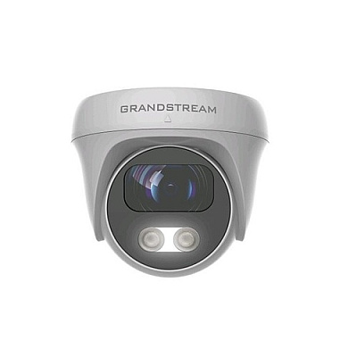 Grandstream Networks -infrared Weatherproof Domecamera (GSC3610)