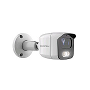Grandstream Networks -infrared Weatherproof Ip Camera (GSC3615)