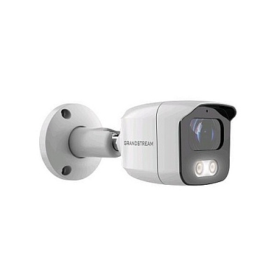 Grandstream Networks -infrared Weatherproof Ip Camera (GSC3615)