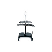 Ergoguys Aidata Sit/stand Mobile Pc Cart W/ Mount (LDC003P)