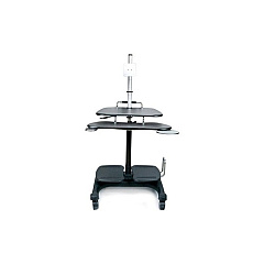 Ergoguys Aidata Sit/stand Mobile Pc Cart W/ Mount (LDC003P)