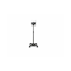 Ergoguys Aidata Mobile Viewstand Locking Casters (US5123RB)