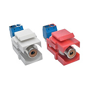 Tripp Lite Rca Female Keystone Jack Kit Red/white (A050000STKJ)