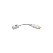 Tripp Lite 6in Dp To Mini Dp Adapter Cable 4k M/f (P13406NMDP)