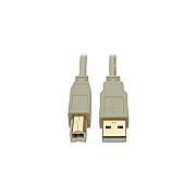 Tripp Lite 6ft Usb 2.0 Hi-speed A/b Cable M/m Beige (U022006BE)