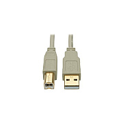 Tripp Lite 10ft Usb 2.0 Hi-speed A/b Cable Mm Beige (U022010BE)