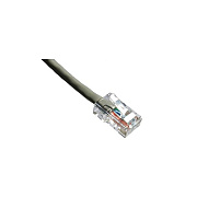 Axiom 100ft Cat6 Cable (gray) - Taa (AXG94257)