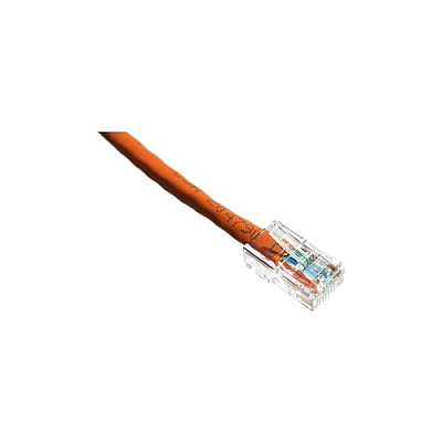 Axiom 2ft Cat6 Cable (orange) - Taa (AXG95982)