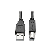 Tripp Lite 6ft Cbl Hdmi Dvi Usb Kvm Kit A/b Kybd (P782006DH)