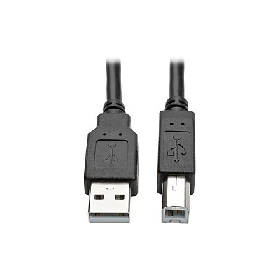 Tripp Lite 6ft Cbl Hdmi Dvi Usb Kvm Kit A/b Kybd (P782006DH)