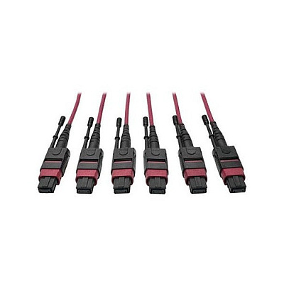 Tripp Lite 24-fiber Mtp Mpo Om4 Base-8 Mmf Trunk (N85811M3X8MG)