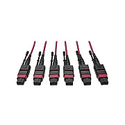 Tripp Lite 24-fiber Mtp Mpo Om4 Base-8 Mmf Trunk (N85815M3X8MG)